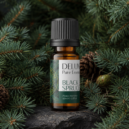 Black Spruce Pure Essential Oil with deep blue-green spruce branches